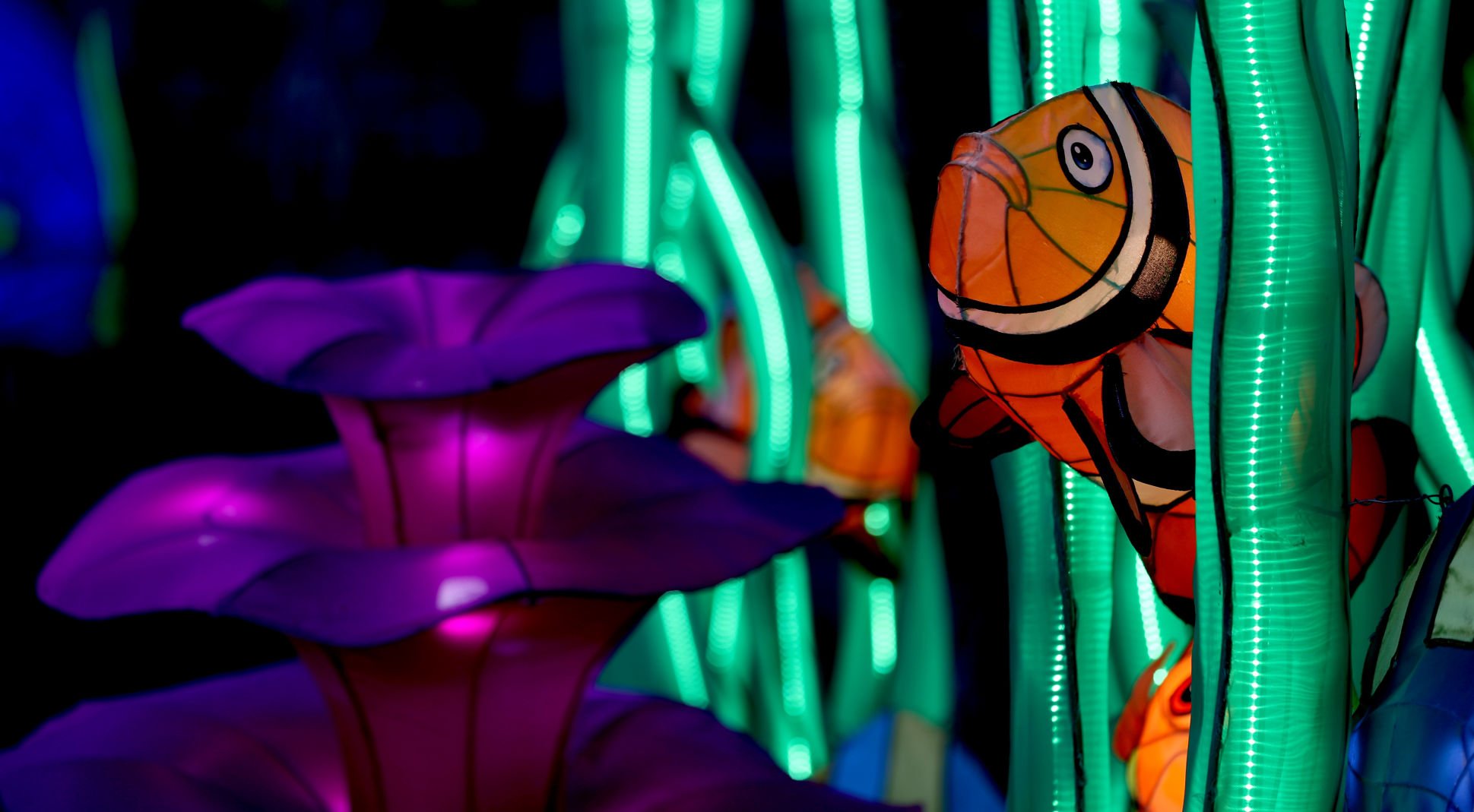 Asian Lantern Festival